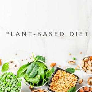 Plant based diet plan