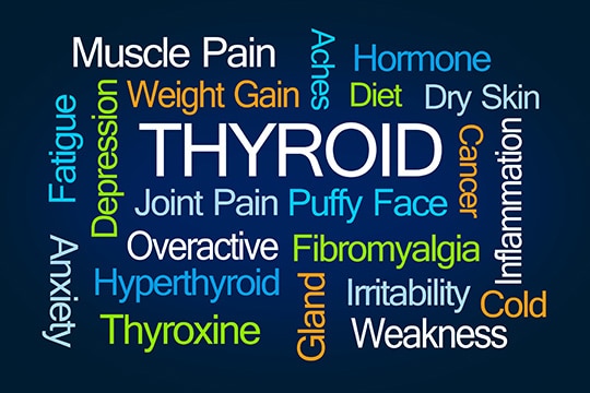 thyroid word cloud